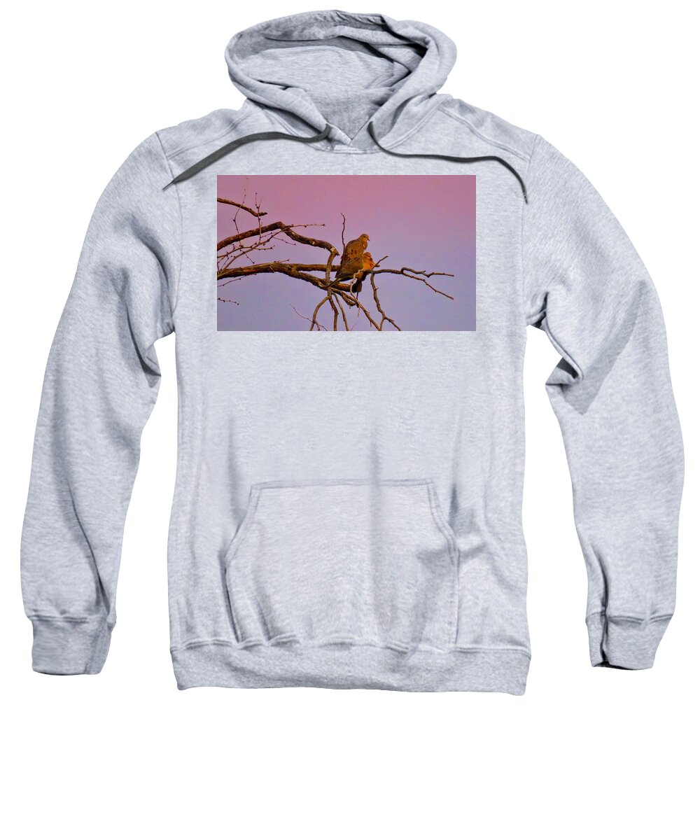 Arizona Sweatshirt featuring the photograph Mourning Doves by Judy Kennedy