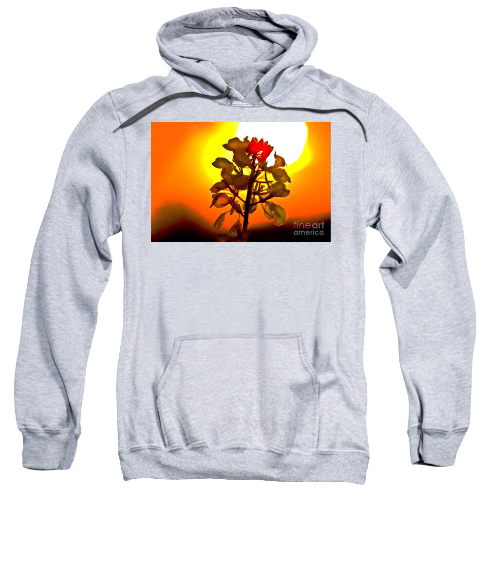 Agriculture Sweatshirt featuring the photograph Mustard Sunset by Roger Monahan