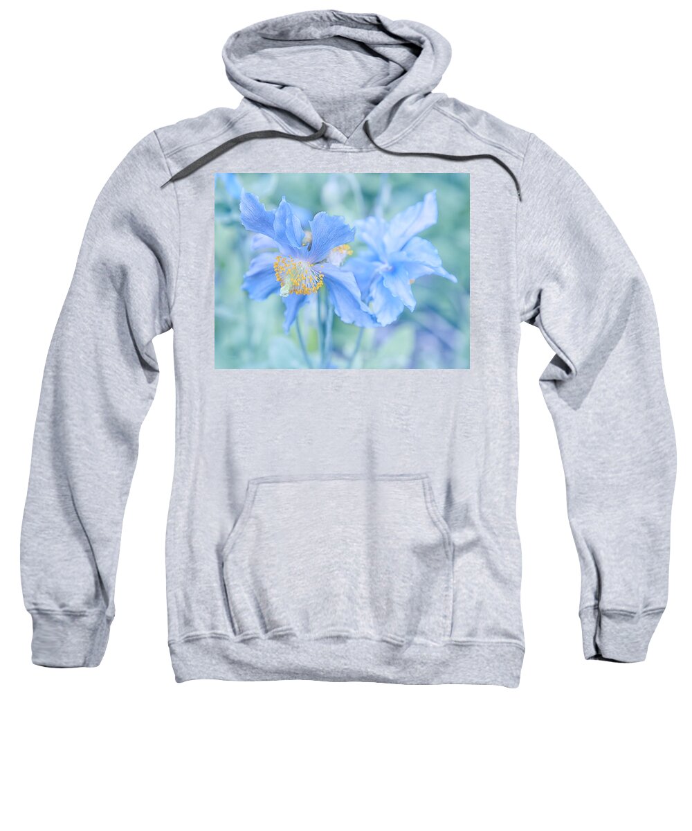 Alaska Sweatshirt featuring the photograph My Blue Heaven by Theresa Tahara