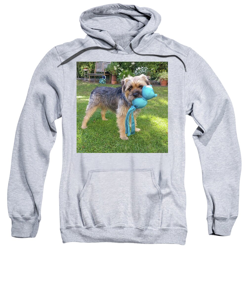 Dog Sweatshirt featuring the photograph Birthday Toy by Rowena Tutty