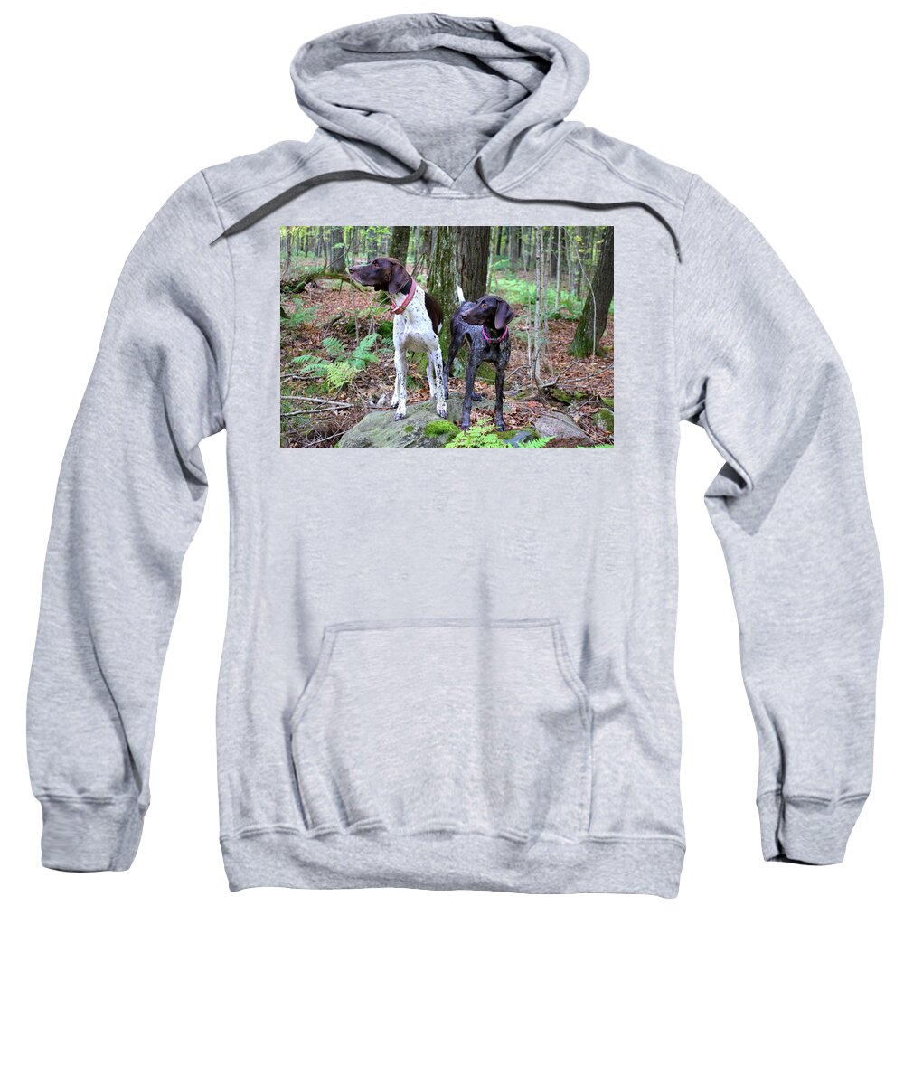  Sweatshirt featuring the photograph My Girls by Brook Burling