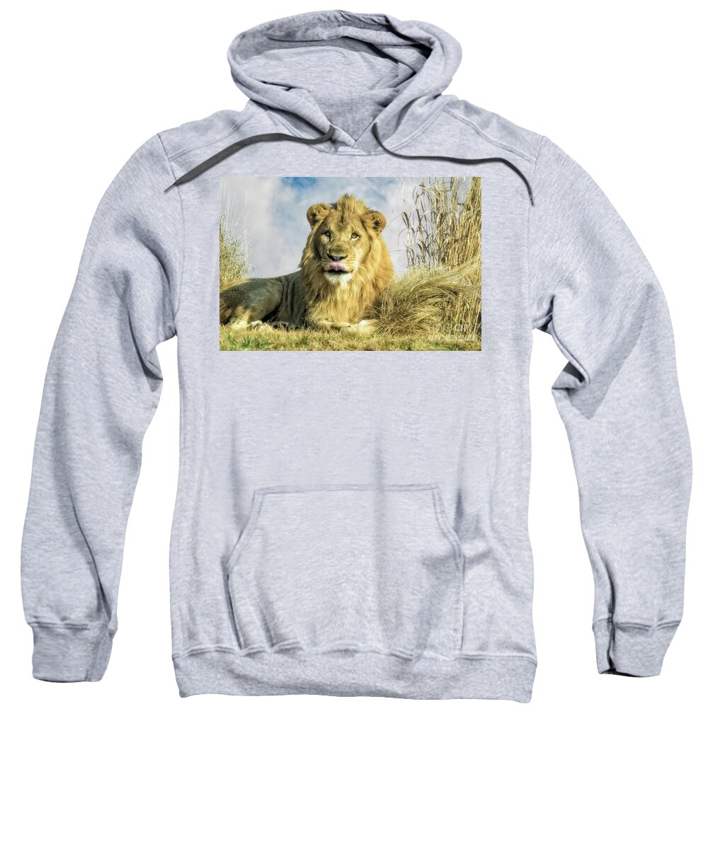 My You Look Tasty Sweatshirt featuring the photograph My You Look Tasty by Imagery by Charly