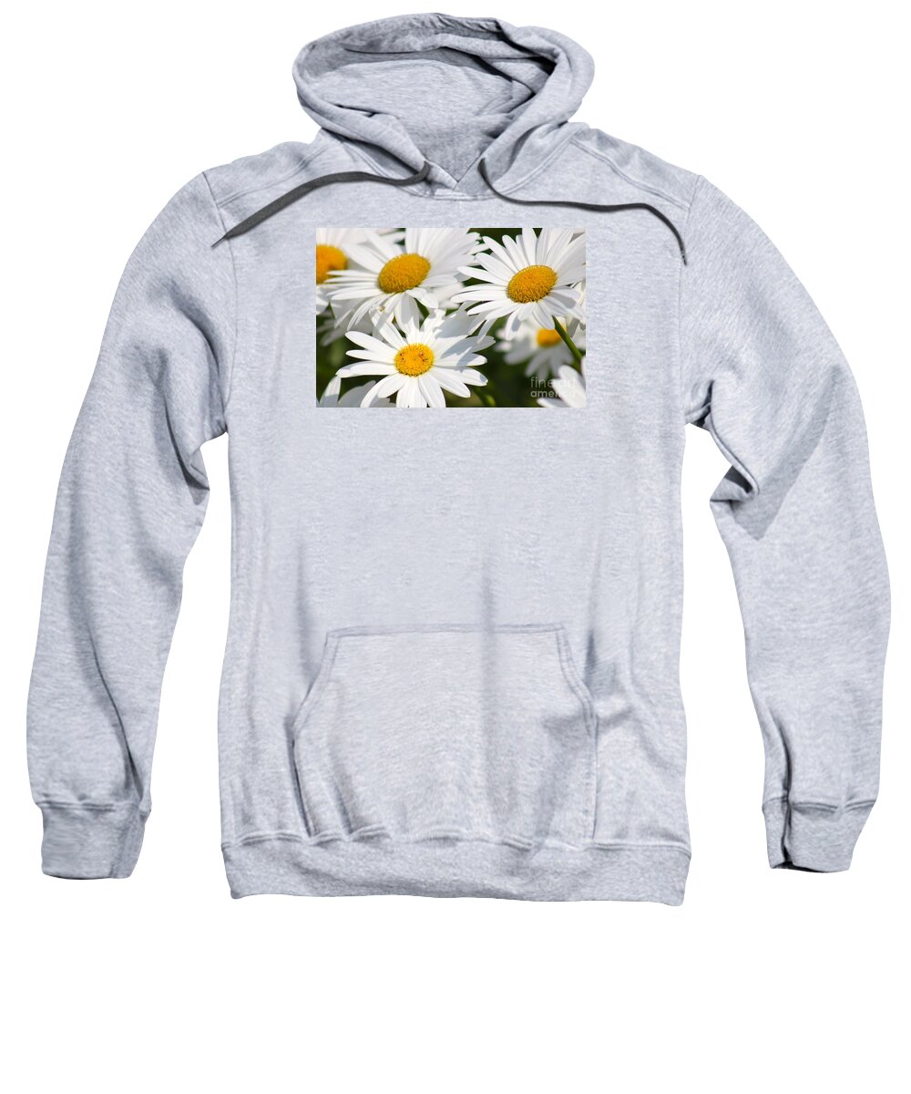 Yellow Sweatshirt featuring the photograph Nature's Beauty 55 by Deena Withycombe