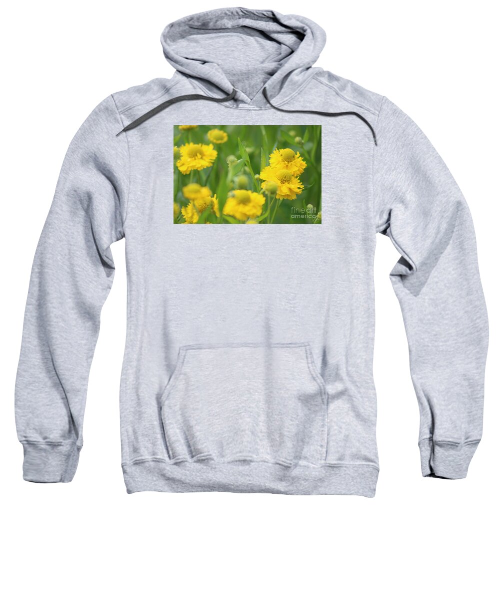 Yellow Sweatshirt featuring the photograph Nature's Beauty 92 by Deena Withycombe