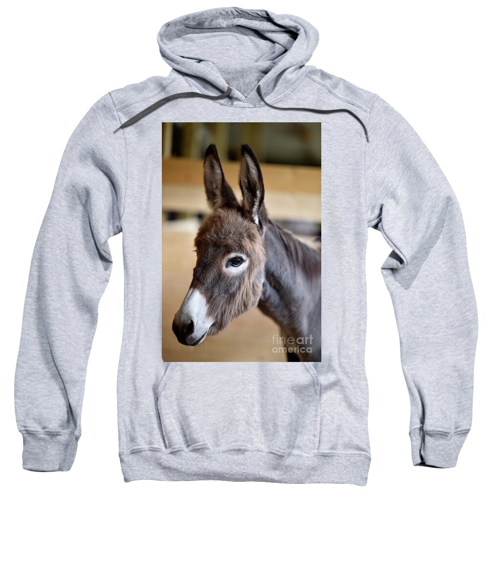 Rosemary Farm Sweatshirt featuring the photograph Nemo by Carien Schippers