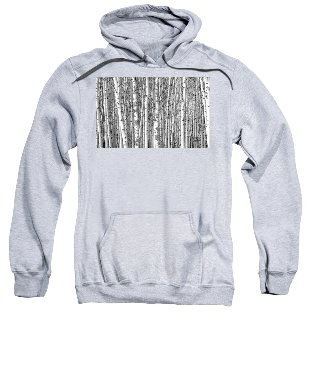 Canadian Rockies Sweatshirt featuring the photograph Nothing But Aspen by David T Wilkinson