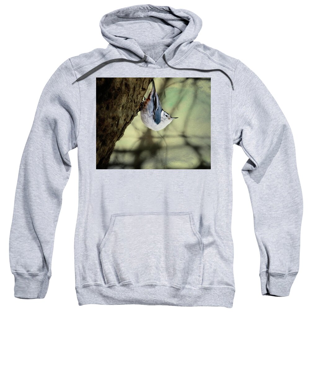 Birds Sweatshirt featuring the photograph Nuthatch  by Al Mueller