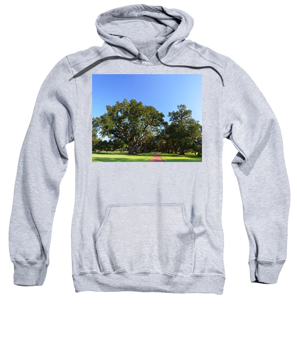 Oak Sweatshirt featuring the photograph Oak Alley Plantation Panoramic by Maggy Marsh