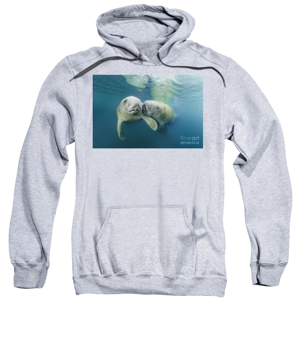 West Indian Manatee Sweatshirt featuring the photograph Oh my Darling by Norbert Probst