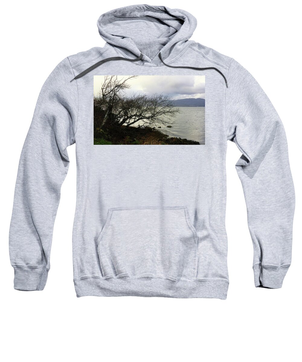 Mobile Photography Sweatshirt featuring the photograph Old Tree by the Bay by Chriss Pagani