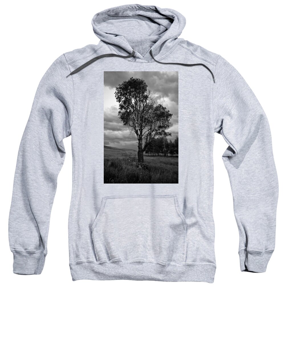 Scenery Sweatshirt featuring the photograph Old Tree, Lost Trail Wildlife Refuge by Jedediah Hohf