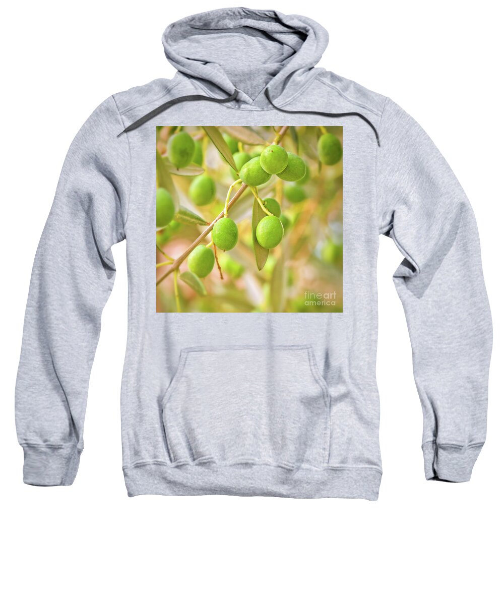 Olive Tree Sweatshirt featuring the photograph Olives by Delphimages Photo Creations