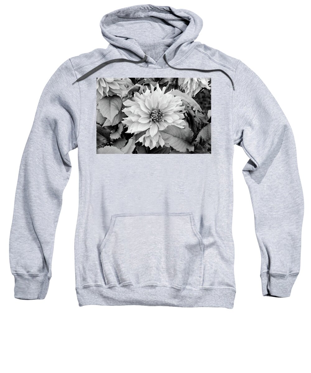 Flower Sweatshirt featuring the photograph Opening Flower by Tom Reynen