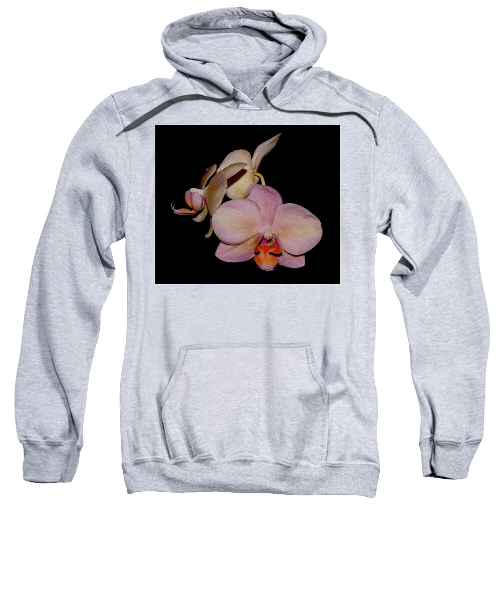 Nature Sweatshirt featuring the photograph Orchid 2016 1 by Robert Morin