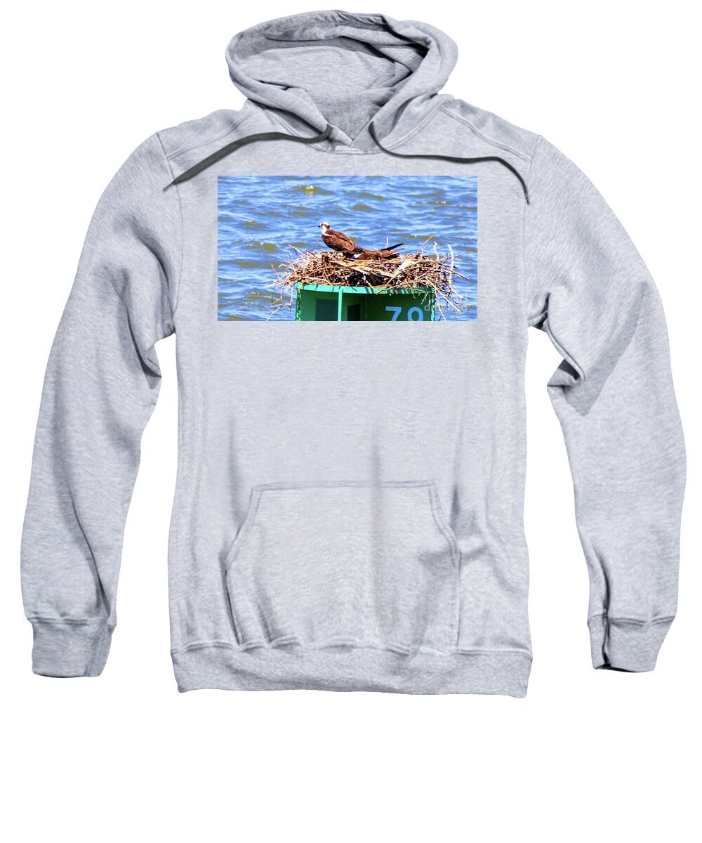 This Is A Photo Sweatshirt featuring the photograph Osprey by Bill Rogers