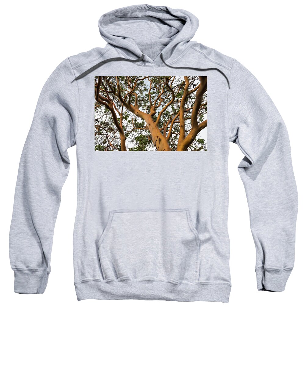 Anacortes Sweatshirt featuring the photograph Pacific Madrone Trees by Robert Potts