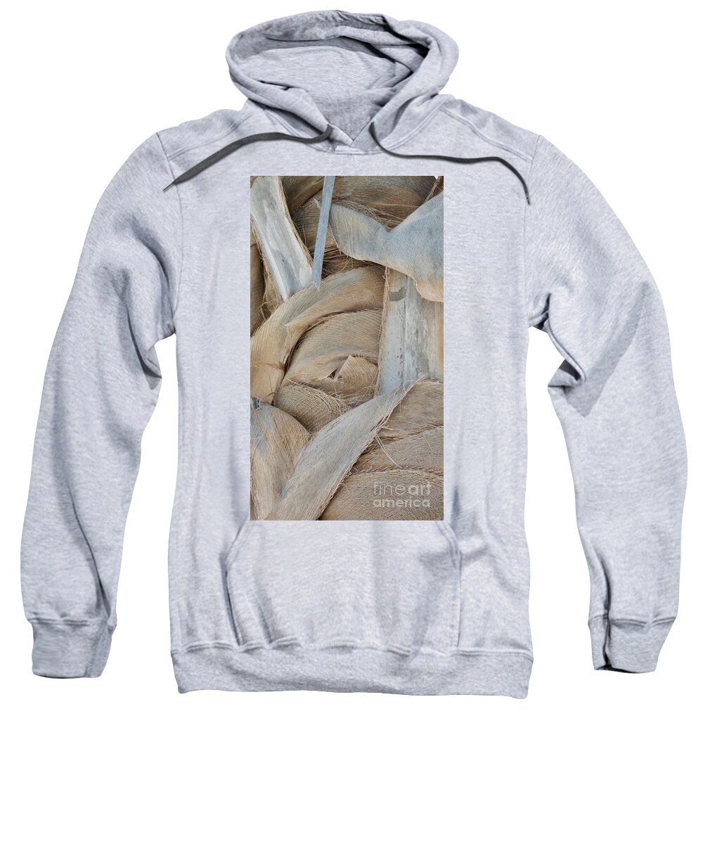 Palm Trunk Pattern Texture Sweatshirt featuring the photograph Palm Series 1-2 by J Doyne Miller