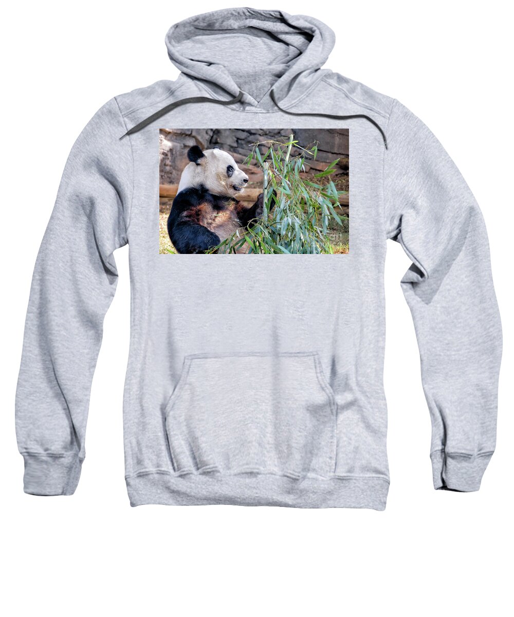 Fur Sweatshirt featuring the photograph Panda Dining on Bamboo by Kathleen K Parker