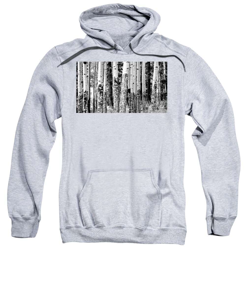 Landscape Sweatshirt featuring the photograph Paper Birch by Julie Lueders 