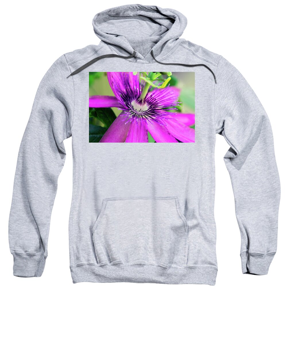 Nature Sweatshirt featuring the photograph Passion Flower by Judy Wright Lott