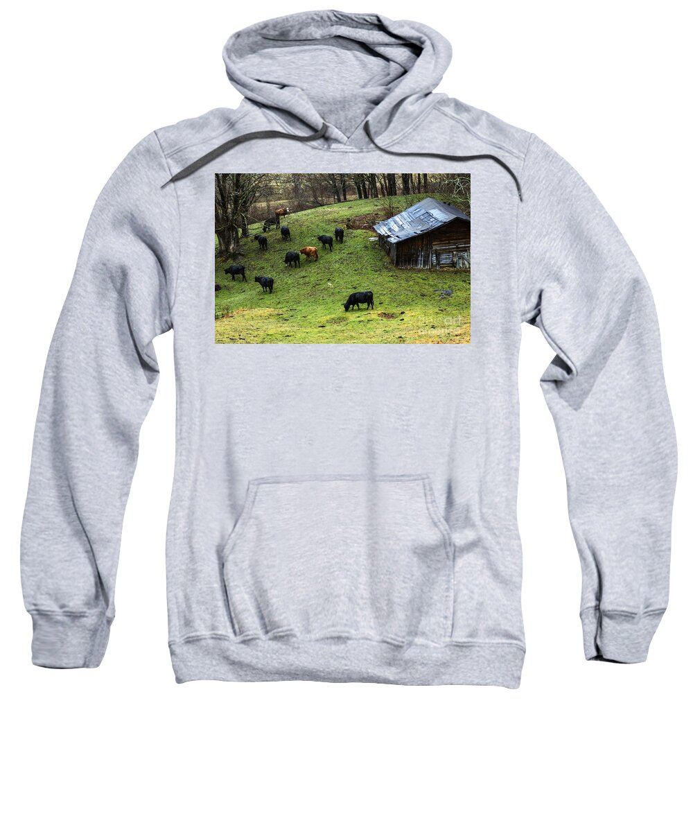 Pasture Field Sweatshirt featuring the photograph Pasture Field and Cattle by Thomas R Fletcher