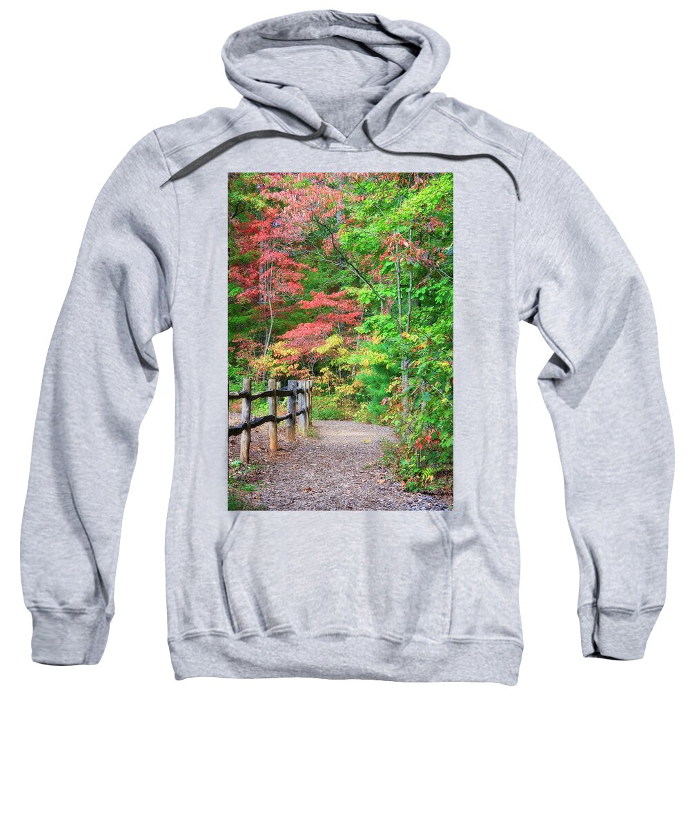 Hiking Trail Sweatshirt featuring the photograph Path in the Woods by Jill Lang