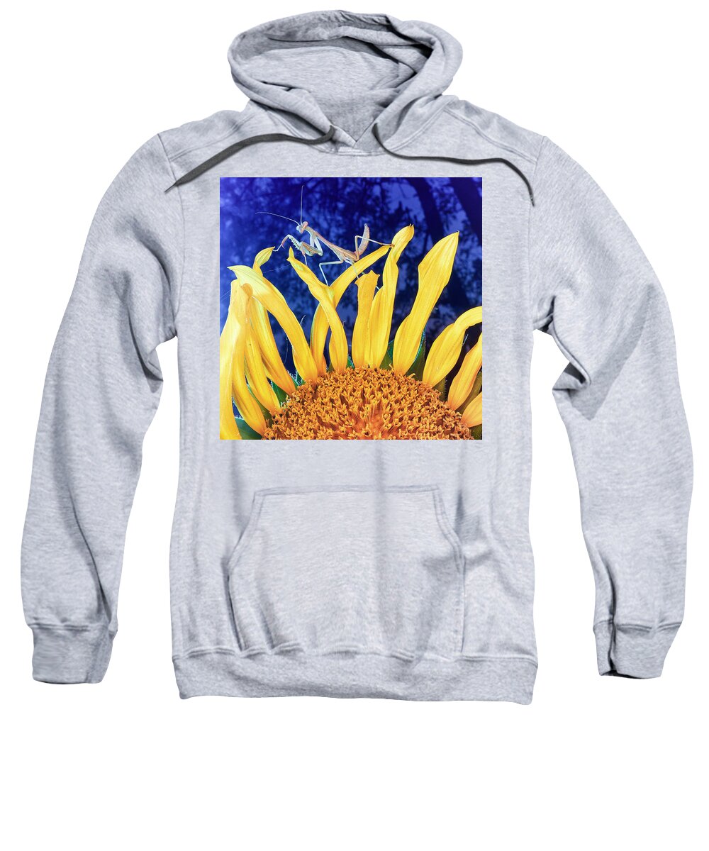 Sunflower Sweatshirt featuring the photograph Peace Brings Death by TC Morgan