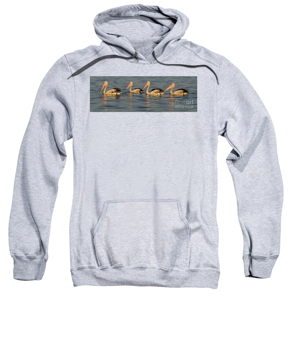 Bird Sweatshirt featuring the photograph Pelicans at Sunset by Werner Padarin
