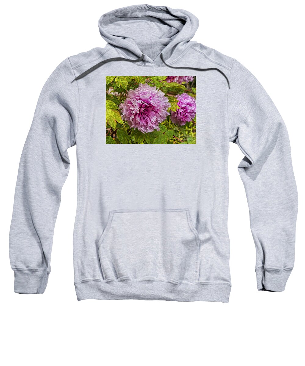 Peony Sweatshirt featuring the photograph Peony Lace by Brenda Kean