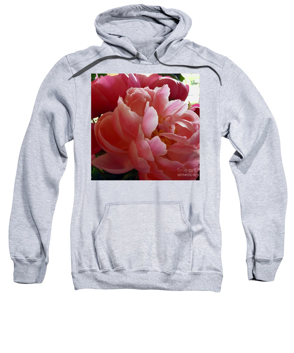 Peonies Light Pink Sweatshirt featuring the photograph Peony Series 1-2 by J Doyne Miller