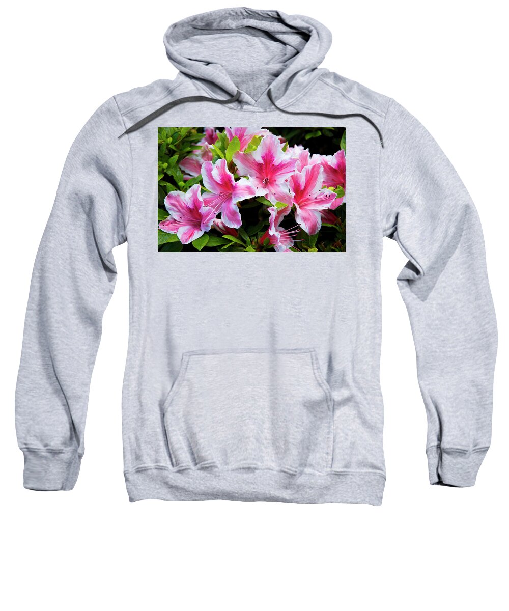 Photography Sweatshirt featuring the photograph Peppermint Candy by Steven Clark