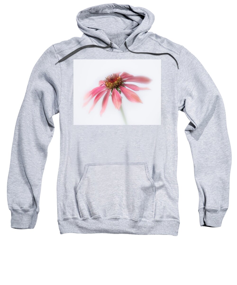 Bloom Sweatshirt featuring the photograph Perennial cone flower. by Usha Peddamatham