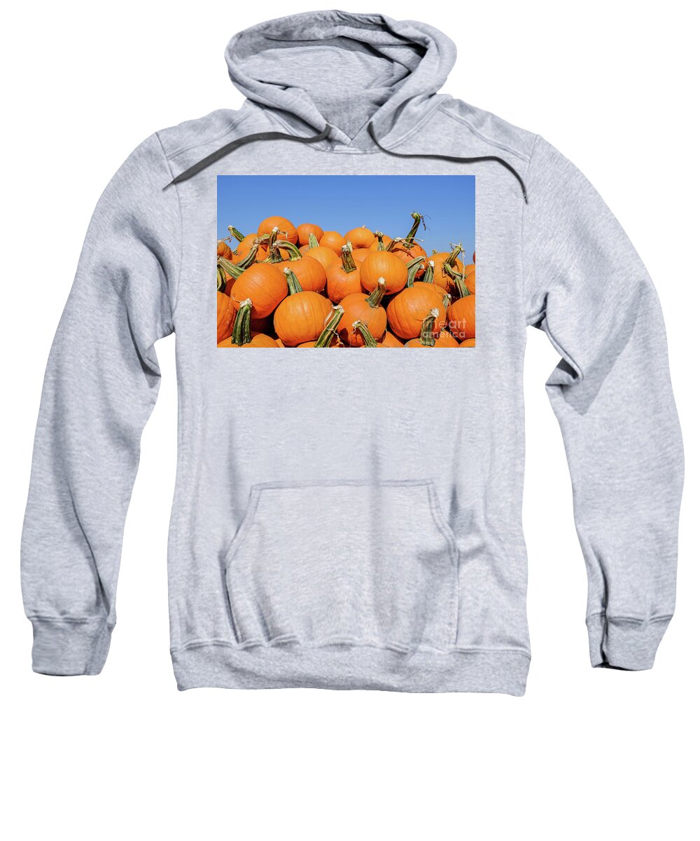 Pumpkin Sweatshirt featuring the photograph Pile of pumpkins by Iryna Liveoak