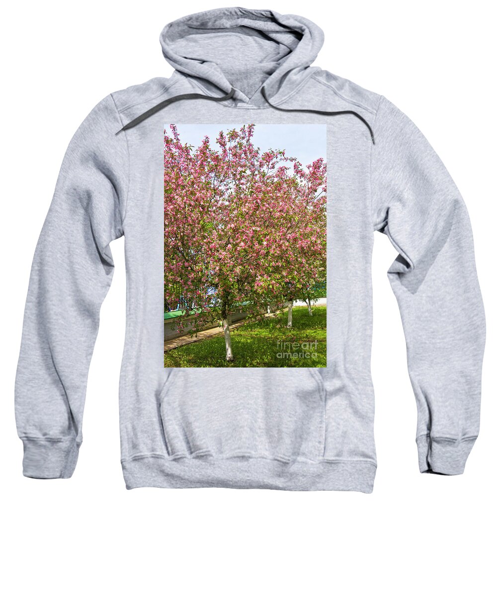 Pink Sweatshirt featuring the photograph Pink cherry trees by Irina Afonskaya