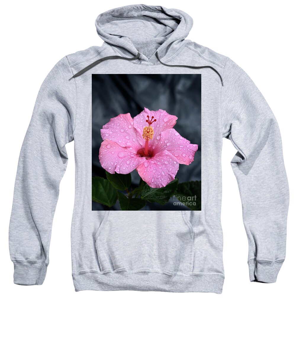 Top Artist Sweatshirt featuring the photograph Pink Hibiscus by Norman Gabitzsch