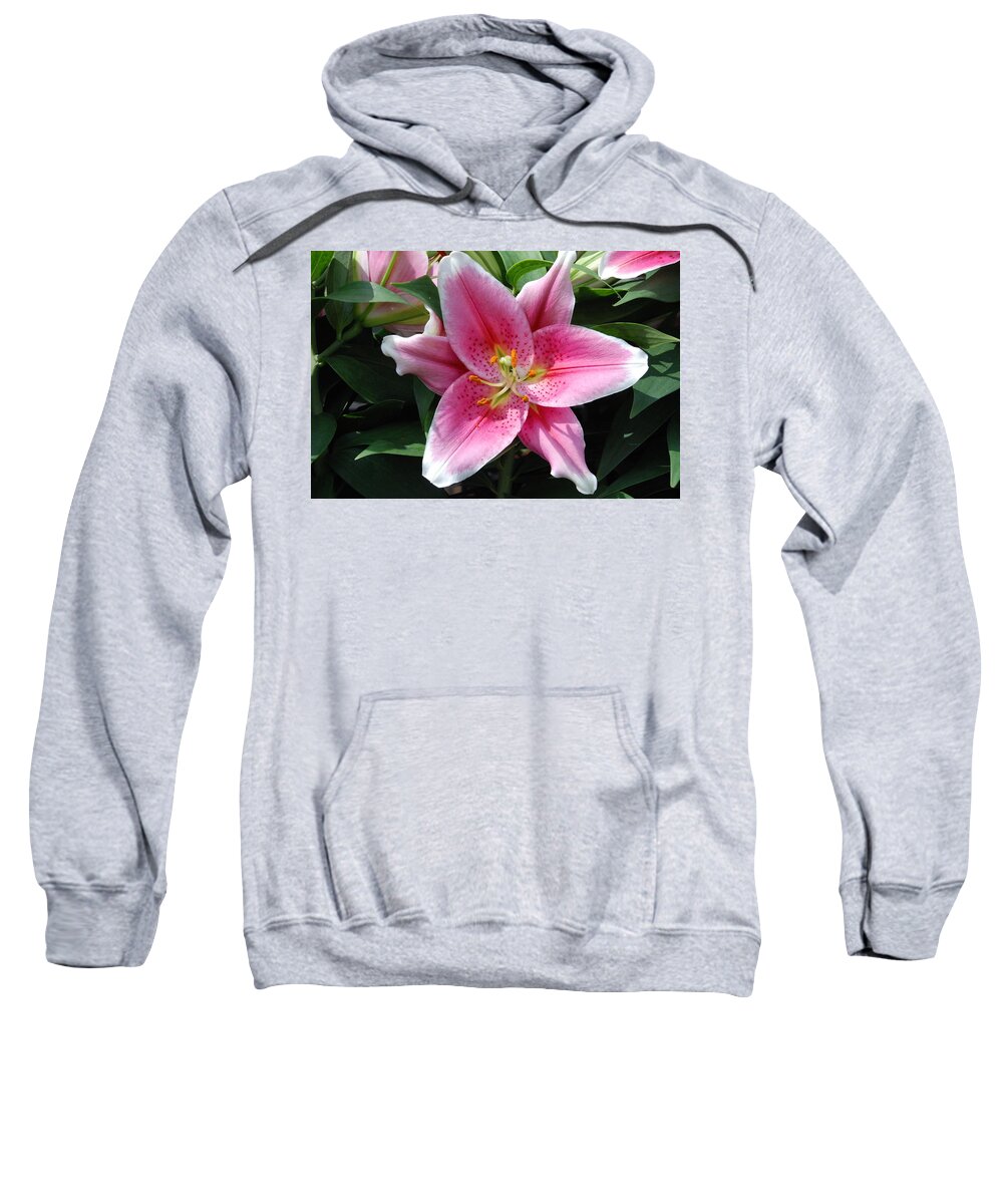 Pink Flowers Sweatshirt featuring the photograph Pink Lily 6 by Ee Photography