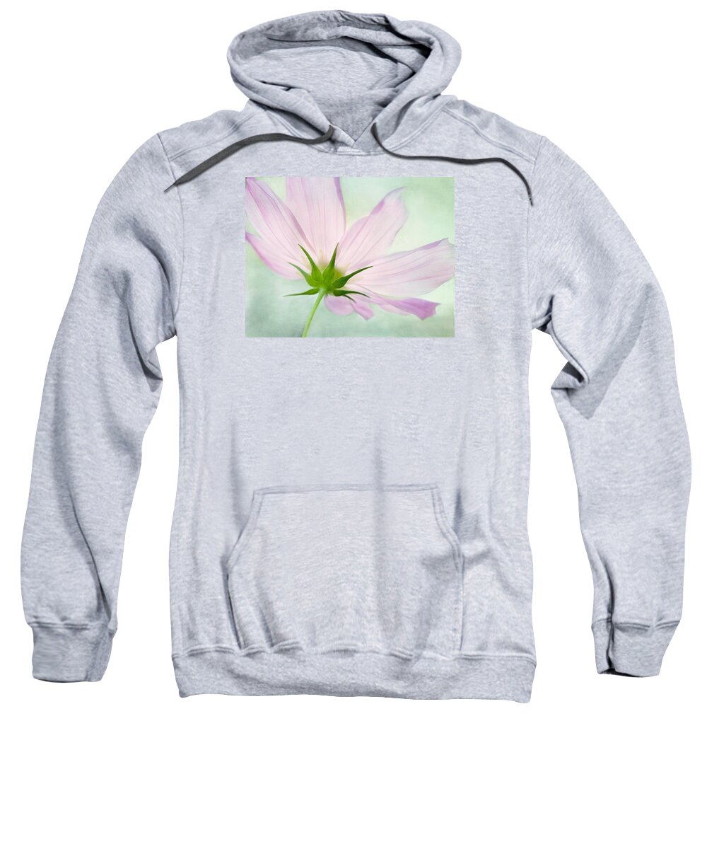 Pink Cosmos Flower Sweatshirt featuring the mixed media Pink Petals by Marina Kojukhova