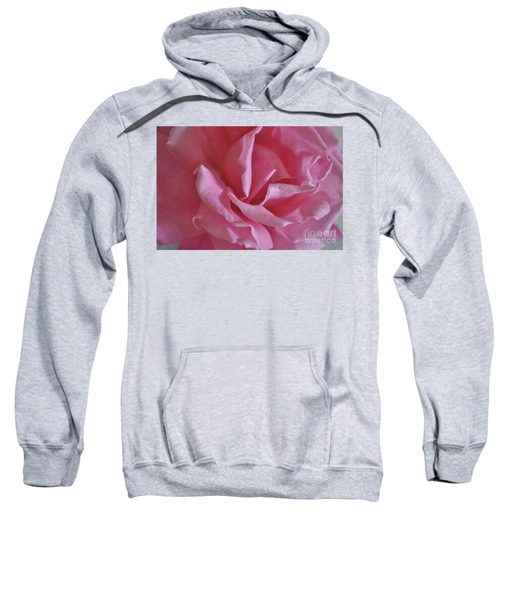 Pink Sweatshirt featuring the photograph Pink Rose by Bridgette Gomes
