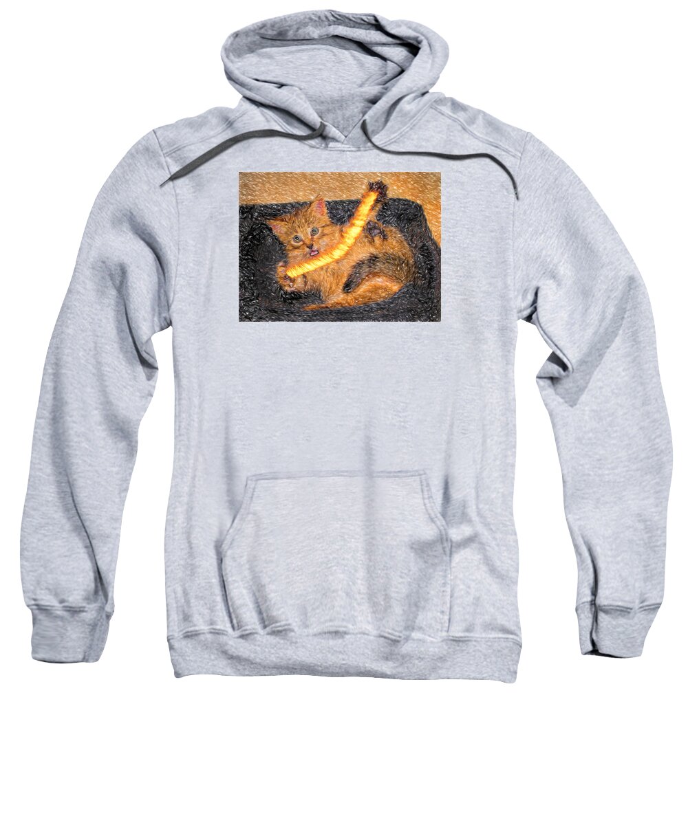 Cat Sweatshirt featuring the photograph Playing With Fire by David Yocum