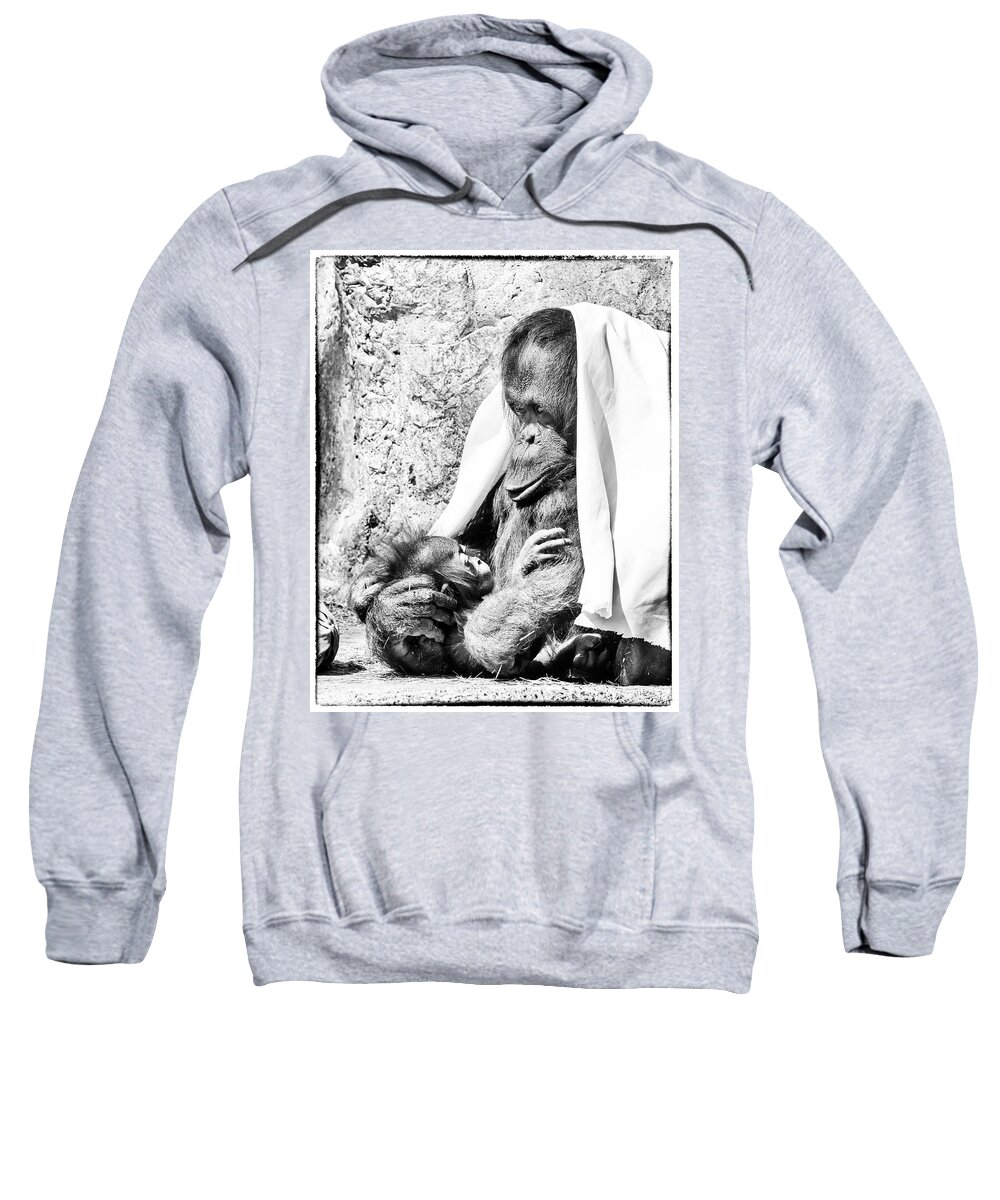 Crystal Yingling Sweatshirt featuring the photograph Playtime by Ghostwinds Photography