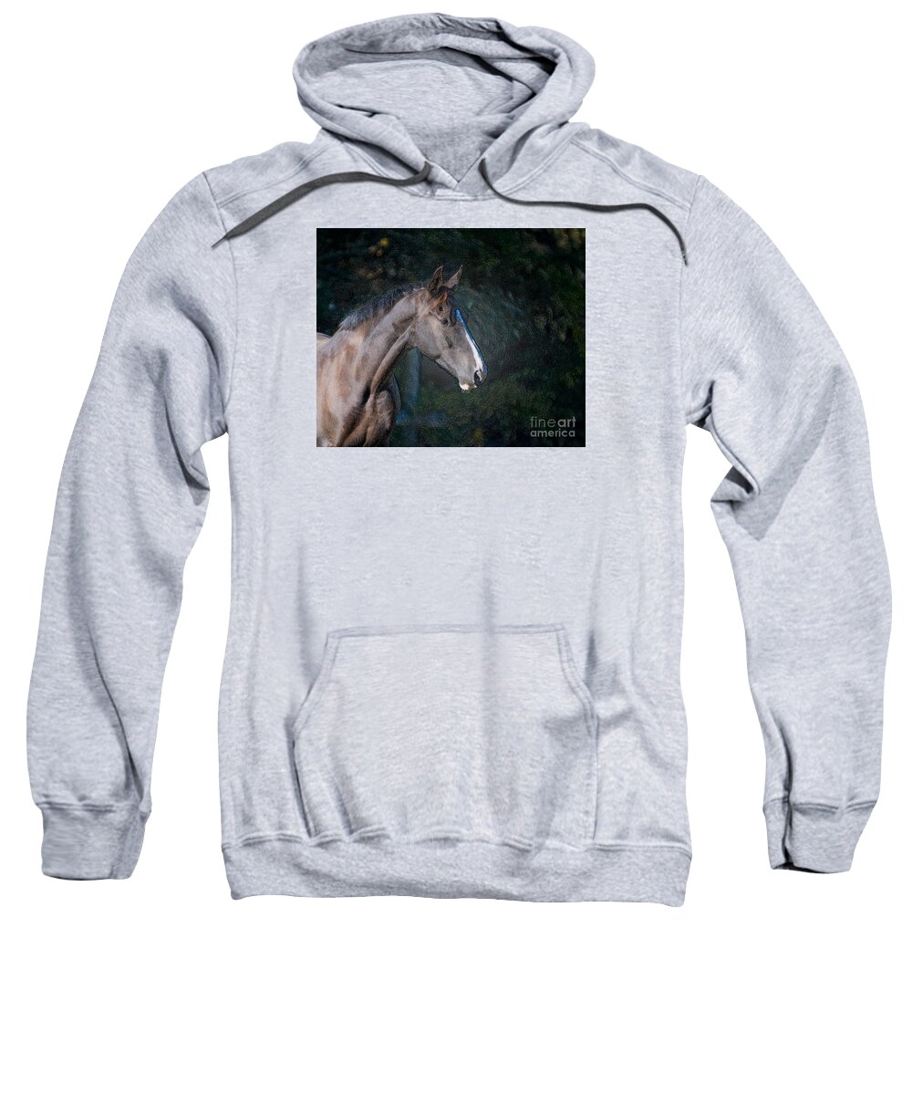 Head Shot Of A Horse Sweatshirt featuring the photograph Portrait of A Horse by Jim Calarese