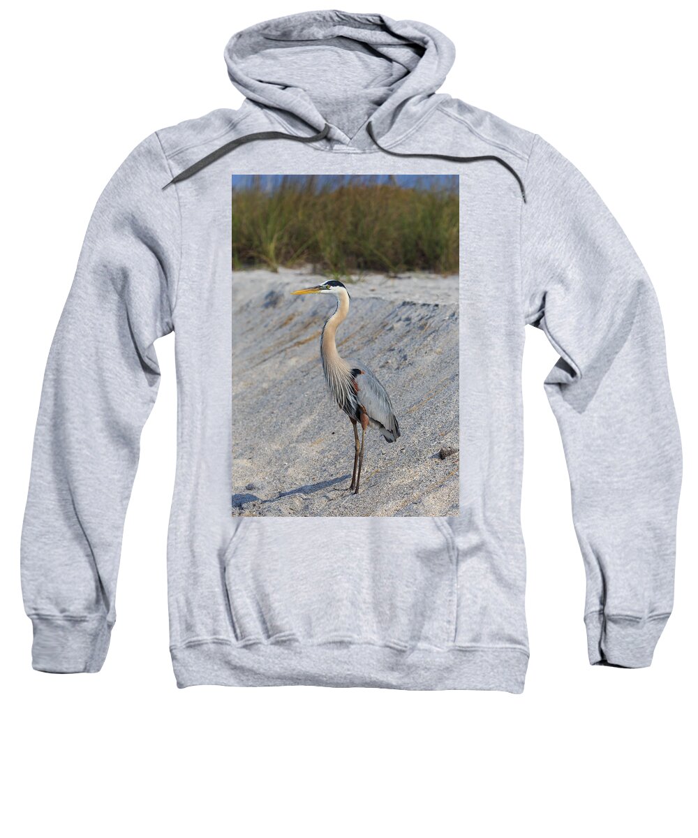 Florida Sweatshirt featuring the photograph Posing by Paul Schultz