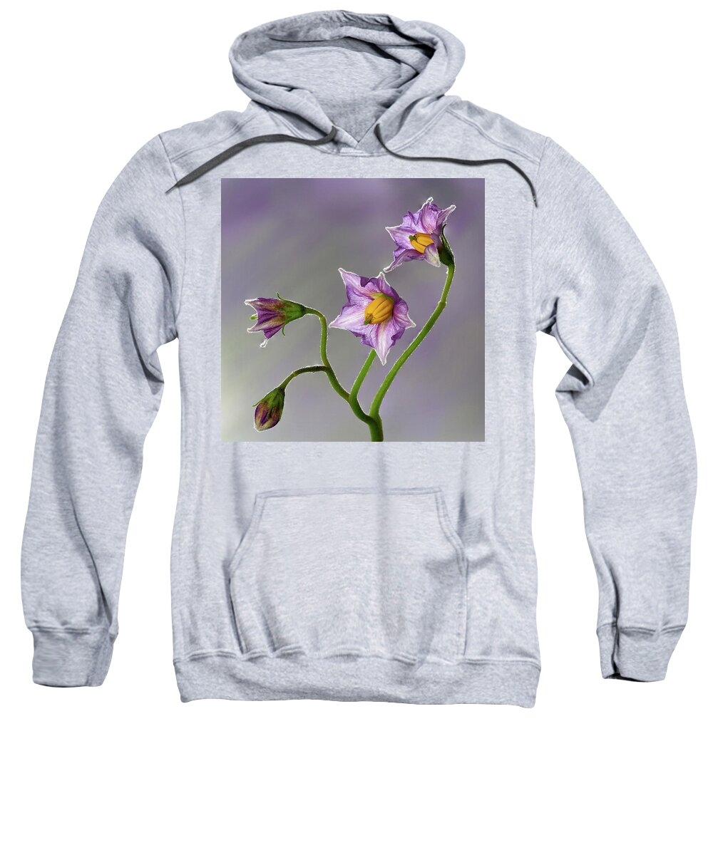 Plant Sweatshirt featuring the photograph Potato Flowers by Shirley Mitchell