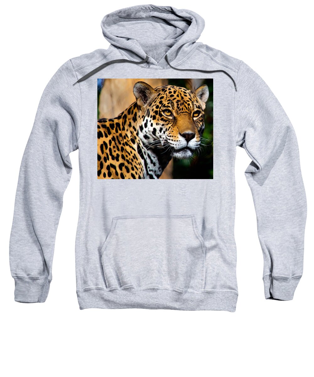 Jaguar Sweatshirt featuring the photograph Powerful by Douglas Killourie