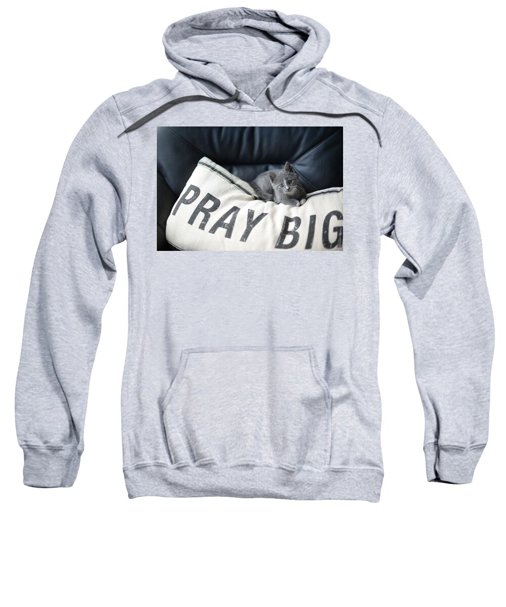Kitten Prayers Sweatshirt featuring the photograph Pray Big by Linda Mishler