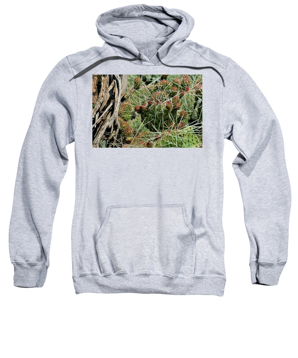 Landscape Sweatshirt featuring the photograph Prickly Pear Revival by Ron Cline