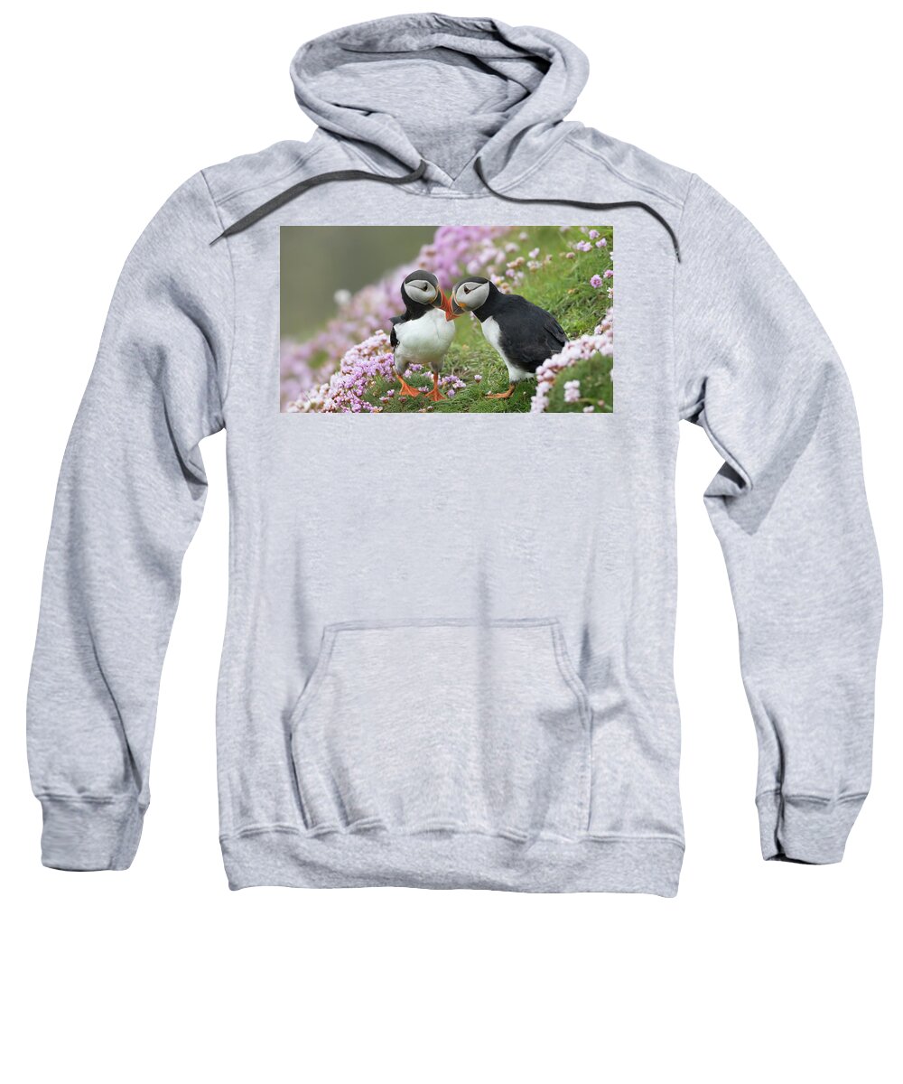 Puffin Sweatshirt featuring the photograph Puffin Love by Pete Walkden