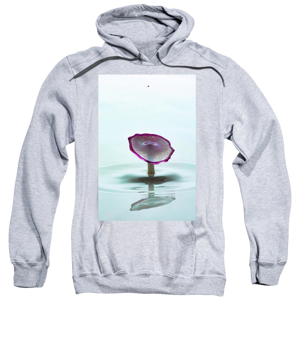 Wall Art Sweatshirt featuring the photograph Purple Capped Drop by Marlo Horne