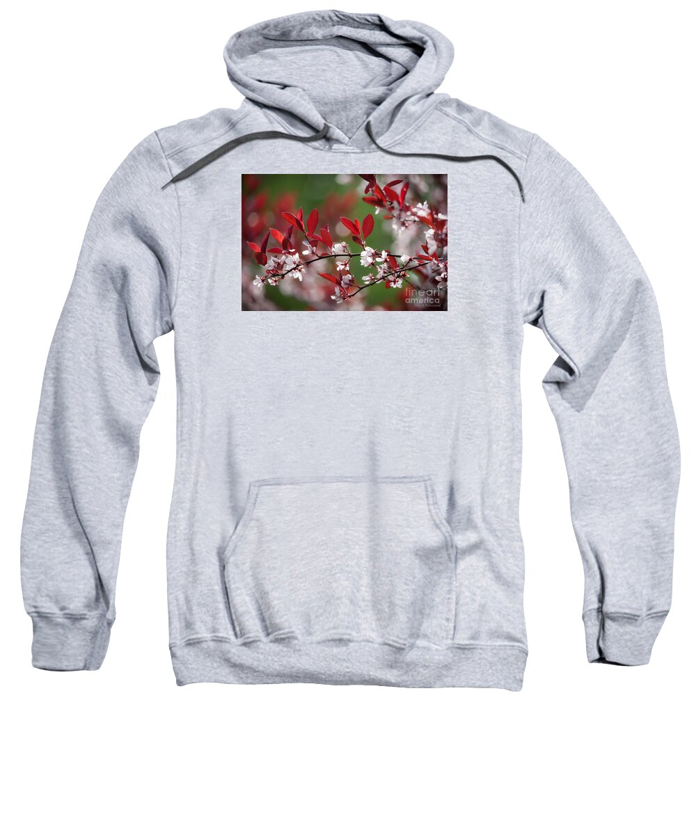 Tennessee Sweatshirt featuring the photograph Purple Leaf Plum No. 2 by Todd Blanchard