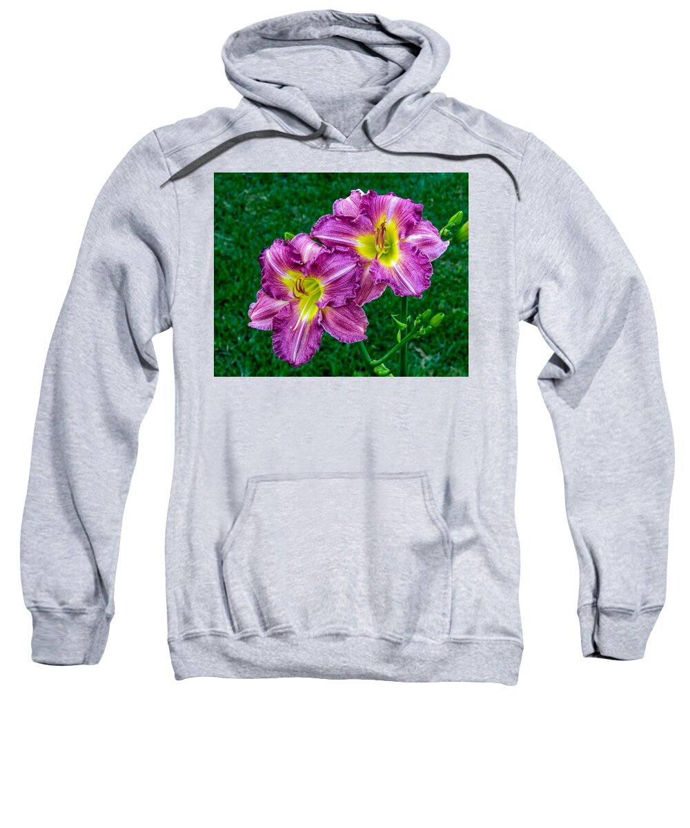 Flowers Sweatshirt featuring the photograph Purple Pair by Nathan Little